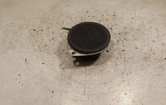 Panel speaker