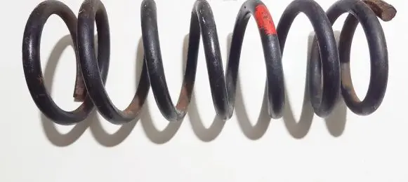 Rear coil spring