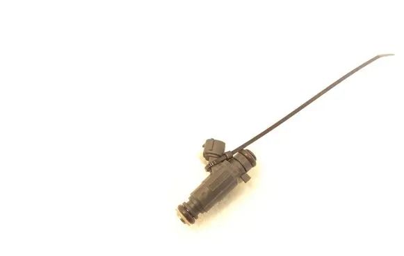 Citroen C3 Fuel injector 9676017480