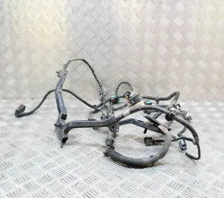 Tesla Model S Other wiring loom 100443092R 100443002R