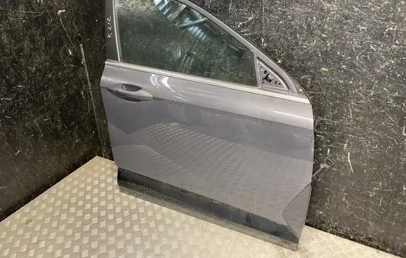 Hyundai Kona II Front door 