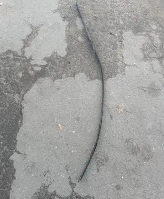 BMW X5 E53 Side skirt front trim 8408678