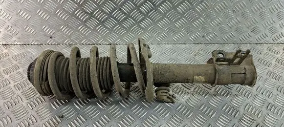 Opel Zafira B Front shock absorber/damper 22229593