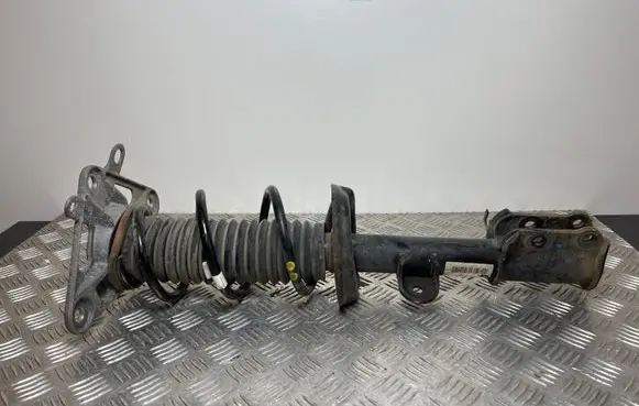 Fiat 500X Rear shock absorber with coil spring 00520490590