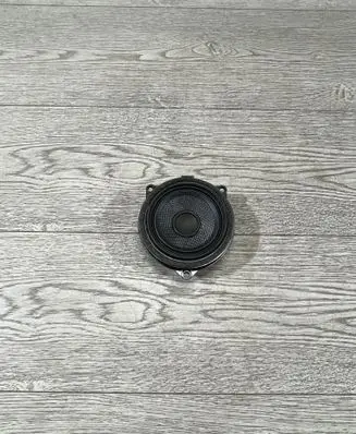 BMW X3 F25 Front door speaker 9209185