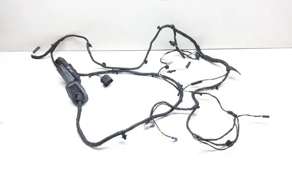 BMW 5 F10 F11 Front door wiring loom 9255986
