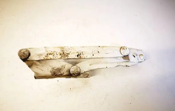 Volkswagen Crafter Engine bonnet/hood hinges 9067500021