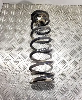 Rear coil spring