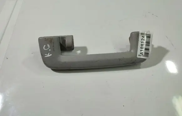 Ford Focus Rear interior roof grab handle 
