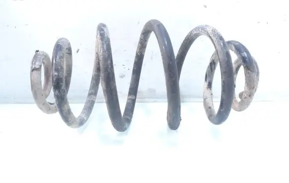 Rear coil spring