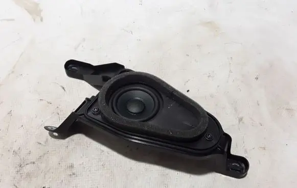 Front door high frequency speaker