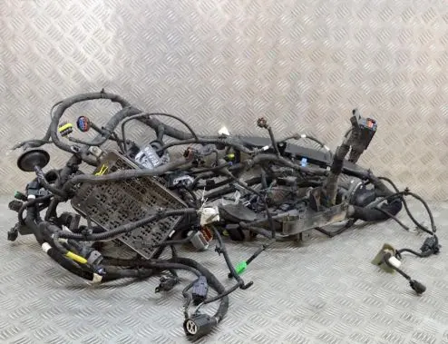 Maserati Quattroporte Other wiring loom 670007387