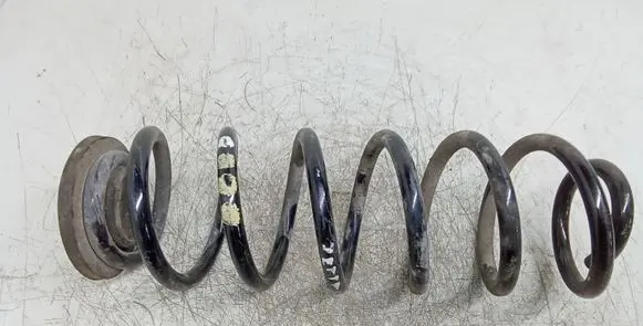 Volkswagen Jetta V Rear coil spring