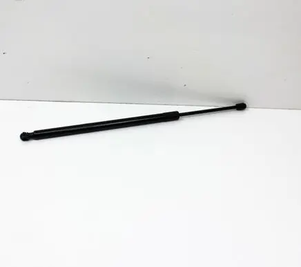 Ford Escape III Tailgate/trunk strut/damper LJ6BS406A10AC