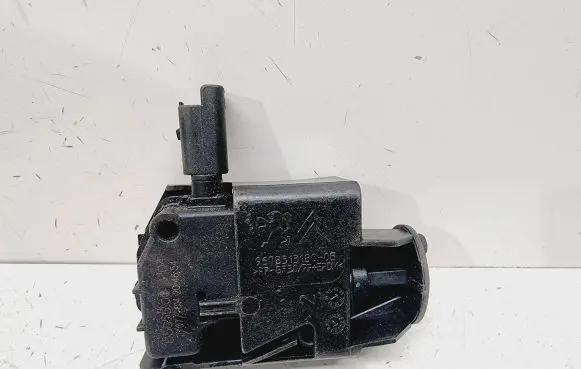 Citroen C4 Grand Picasso Fuel tank cap lock 9678313180