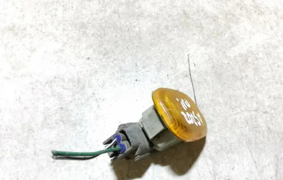 Toyota RAV 4 (XA20) Front fender indicator light