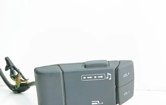 Multifunctional control switch/knob
