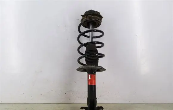 Fiat Punto (188) Front shock absorber with coil spring
