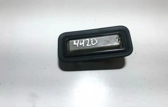 Rear seat light
