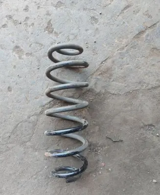 Volkswagen PASSAT B6 Rear coil spring