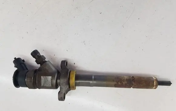 Citroen C3 Picasso Fuel injector 0445110311