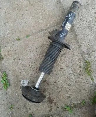Volkswagen Golf V Front shock absorber/damper 3AA413031M 824904008629 VW47146ZYV908