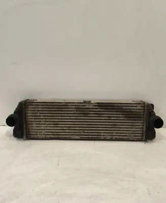 Volkswagen Crafter Intercooler radiator A9065010201 6819171