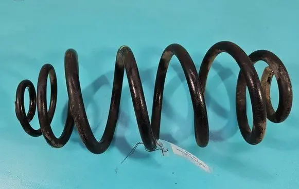 Rear coil spring