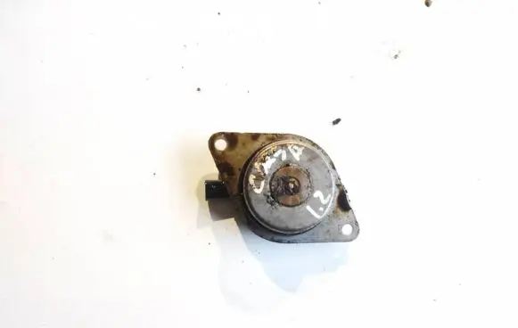 Camshaft pulley/ VANOS