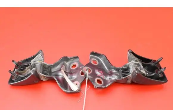 Tailgate/trunk/boot hinge