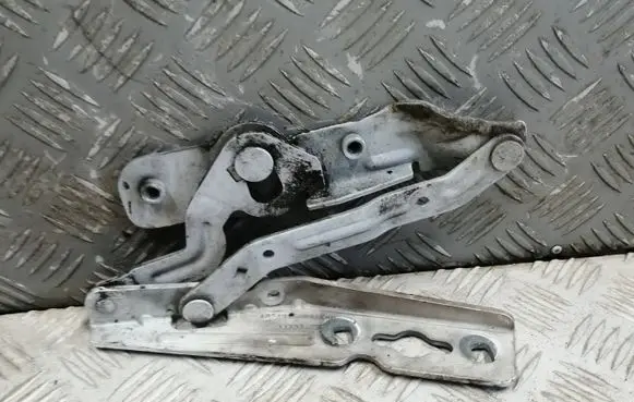 Ford Grand C-MAX Engine bonnet/hood hinges AM51R16800AE