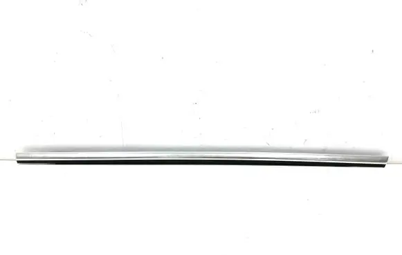 Ford Focus Rear door trim (molding)