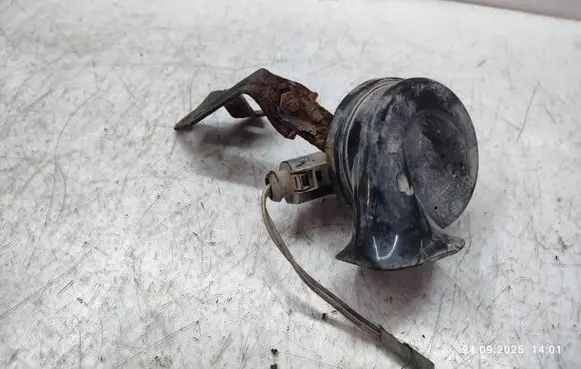 Volkswagen Phaeton Horn signal 000209