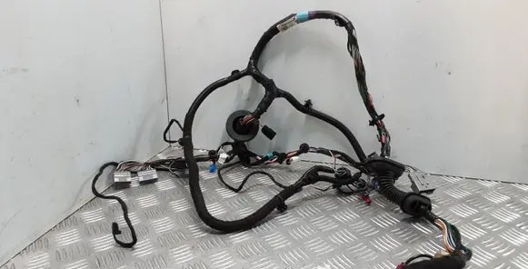 Tesla Model S Front door wiring loom 100441900P