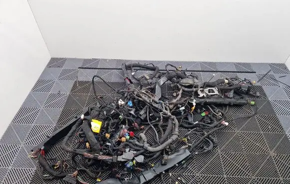 Porsche Cayenne (92A) Other wiring loom 7P0971446A 7P0941828A