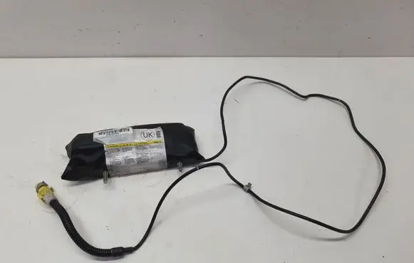 Chevrolet Captiva Seat airbag 20879777B