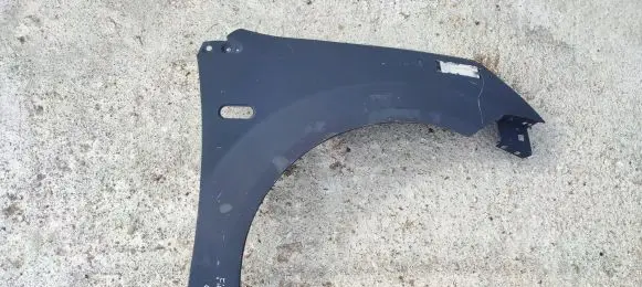 Ford Fiesta Fender 149481100448
