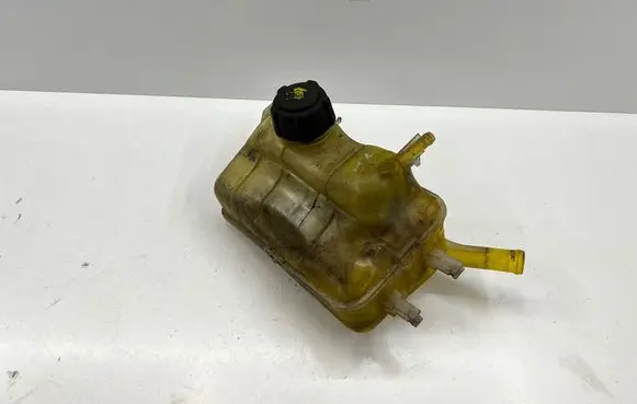 Renault Scenic III - Grand scenic III Coolant expansion tank/reservoir 217100005R