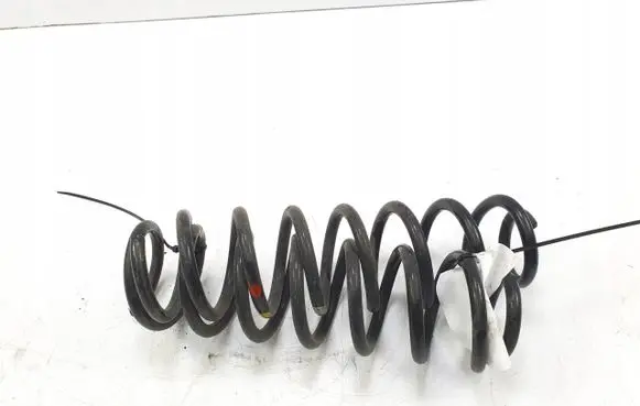 Renault Megane IV Rear coil spring