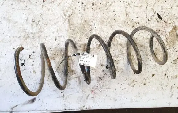 Peugeot 406 Front coil spring