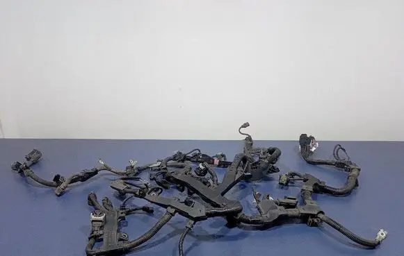 Toyota Camry Other wiring loom 21-33F11A
