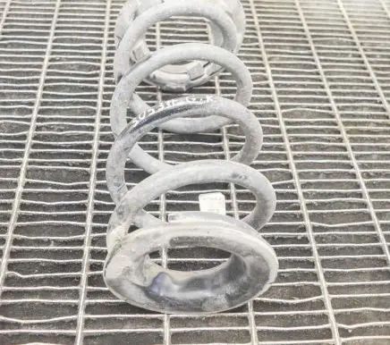 Tesla Model 3 Rear coil spring 104447201E