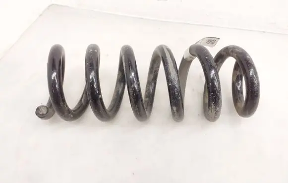 Rear coil spring