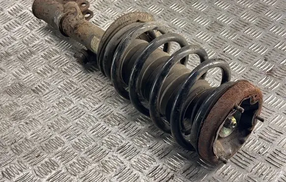 Mercedes-Benz C W202 Front shock absorber/damper 22194425