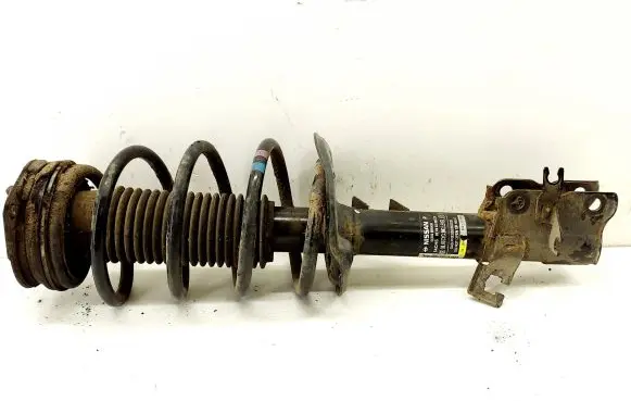 Nissan Qashqai Front shock absorber/damper 824903007721 54303BR00B