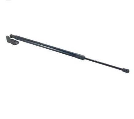 Ford Kuga III Tailgate/trunk strut/damper LJ6BS406A10AC LJ6BS444A18A