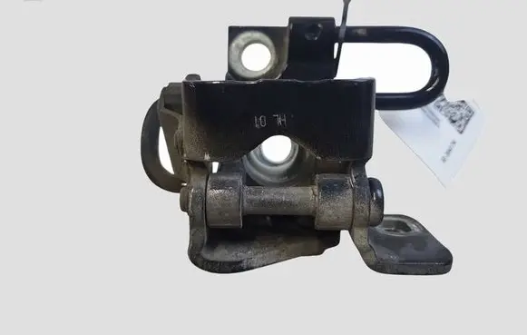 Volkswagen Golf V Rear door lower hinge