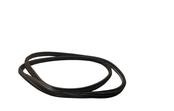 Fiat 500L Rear door rubber seal (on body) 
