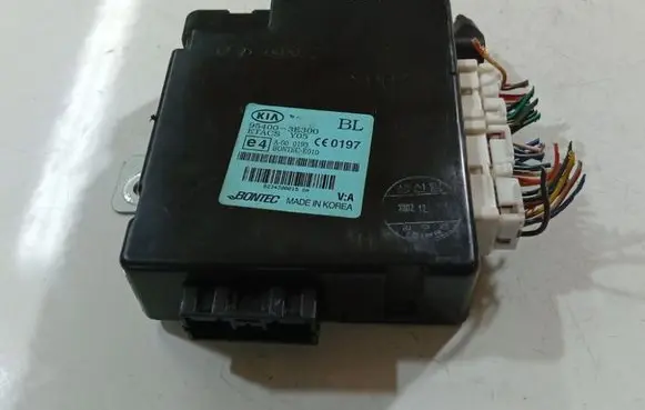 KIA Sorento Door control unit/module 954003E300