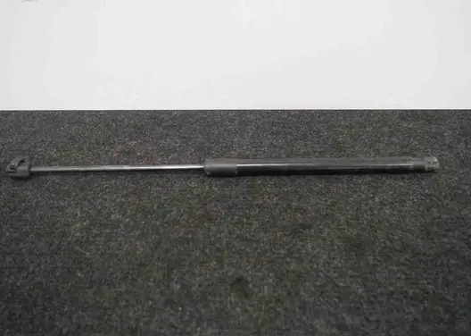 Tailgate/trunk strut/damper